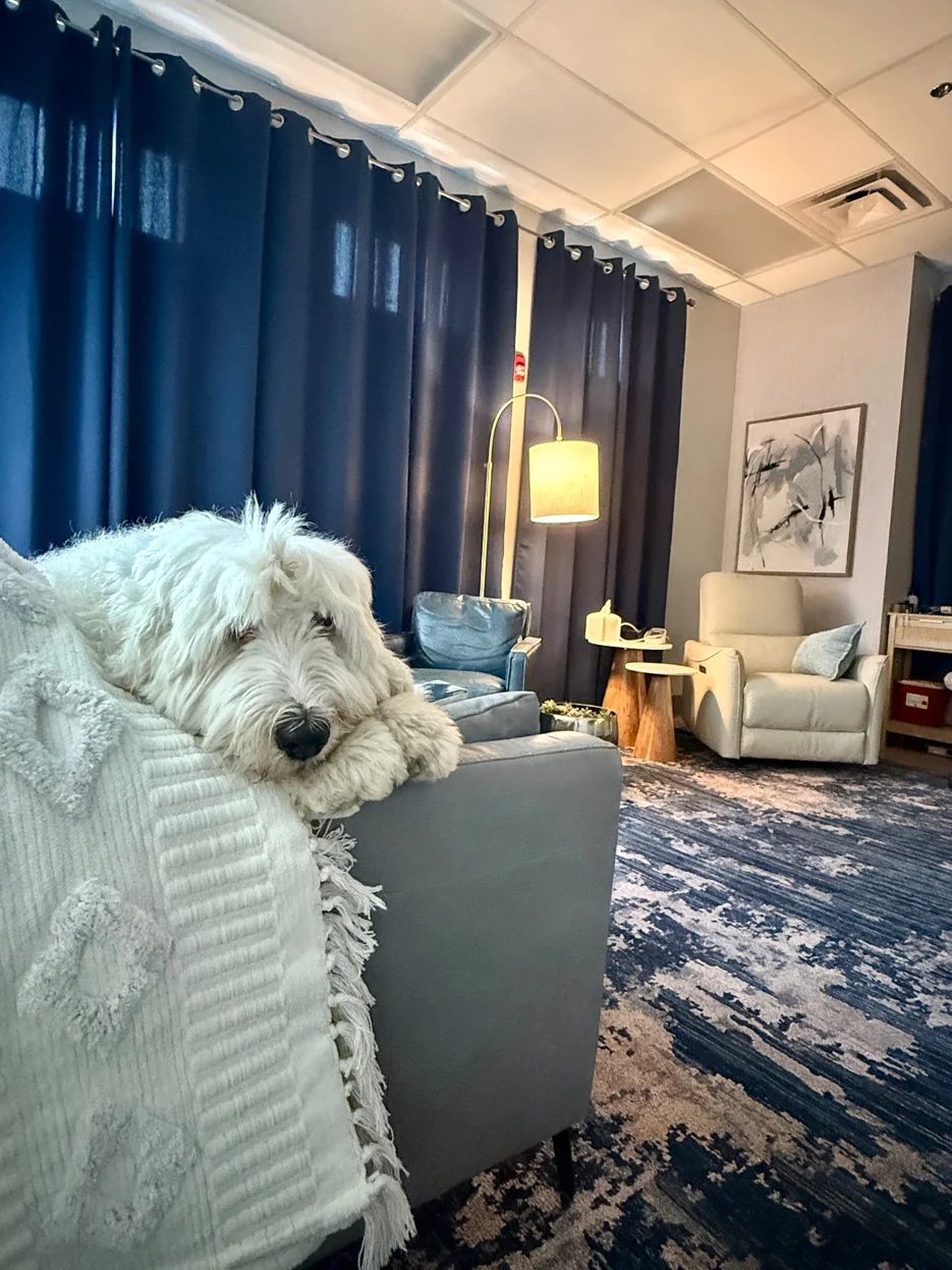 Walter White therapy dog resting in a treatment room at Music City Ketamine Franklin TN